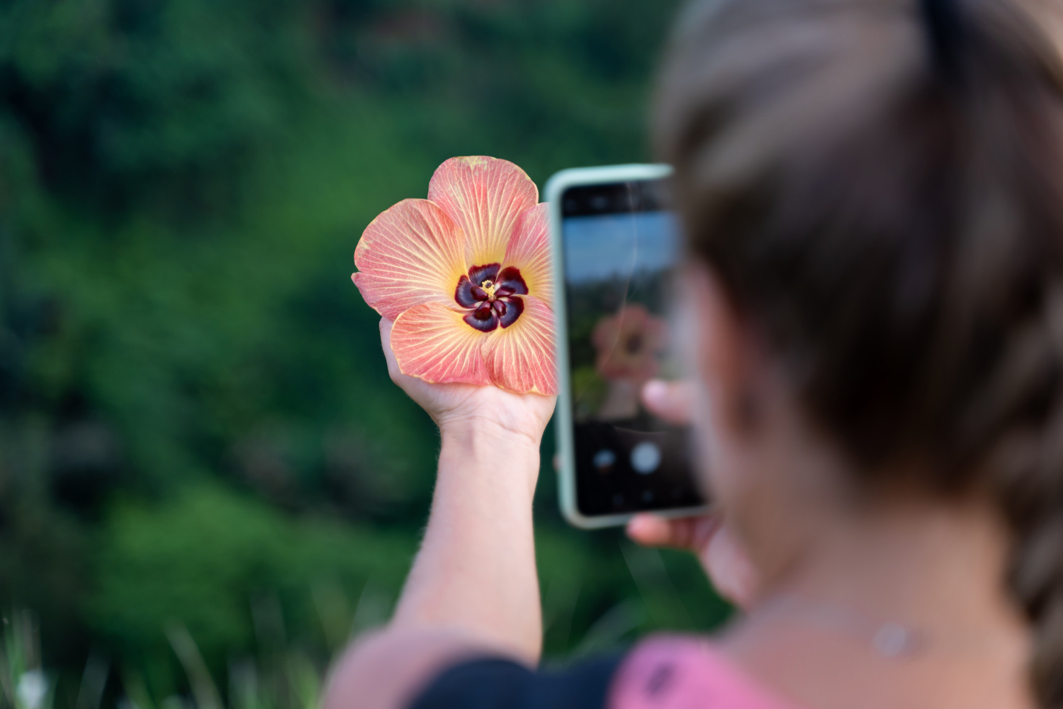 Fotografía botánica y de plantas: dónde buscar, qué fotografiar y cómo hacerlo bien
